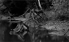 photo "Untitled photo"
