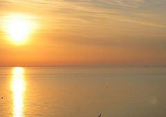 photo "golden sun rise"