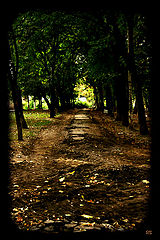 photo "Way of soul..."