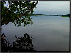 фото "Печаль 2"