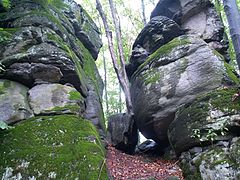 photo "Carpathians motives"