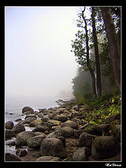 photo "Mist..."