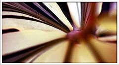 фото "Art 44"
