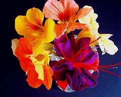 фото ""Bouquet""