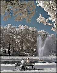 photo "Park"