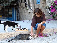 photo "Let's play a chess?"