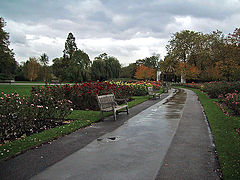 photo "First autumn rain"
