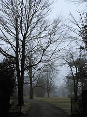 фото "The Foggy Day"