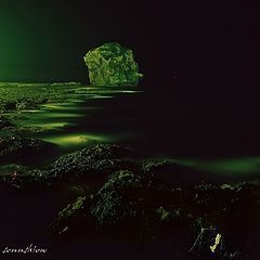 фото "Night scene"