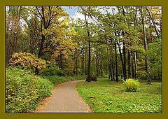 photo "Untitled photo"