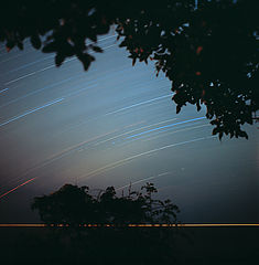 photo "Untitled photo"