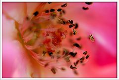 фото "Art 23"