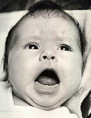 фото ""Feeed Mee!""