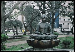 photo "Brazil - Japan 02"