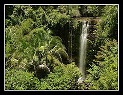 фото "Forest and Waterfall"