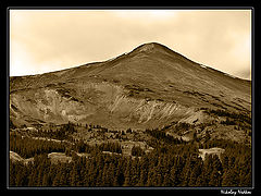 photo "Untitled photo"