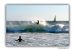 photo "surf"