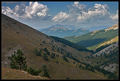 photo "On the plateau 2"