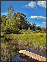 photo "Recollecting summer"