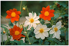 фото "3X3"