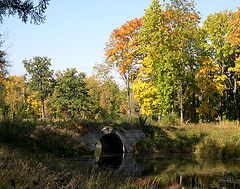 photo "the fall in park"