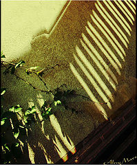 photo "on walls"