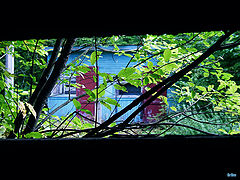 photo "The house of emptiness. (3)"