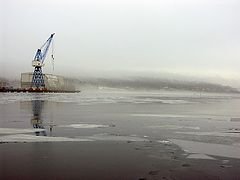 фото "Icy morning"