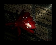 photo "PM- 00.00"