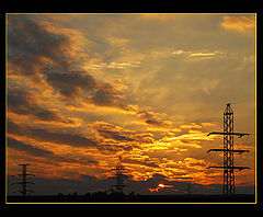 photo "Reality fragment"