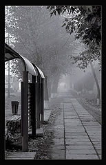 photo "Sidewalk"