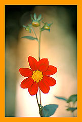 фото "№-1"