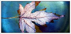 фото "Art 78"