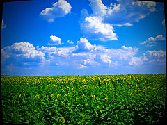 photo "turned away"