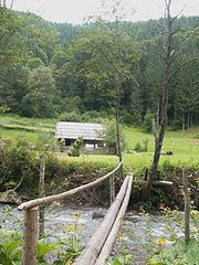 photo "Carpathians motives"