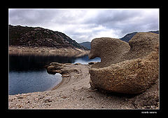 photo "forms of the nature I"