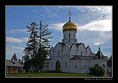 фото "Доминанта"