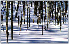 фото "HorseShoe Valley (9) 2004"