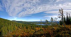 photo "Fall colours"