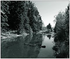 photo "Untitled photo"