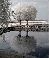 photo "W 2"