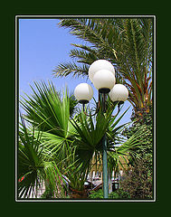 фото "И среди пальм растут фонари :-)"