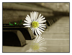 photo "the piano"