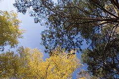 фото "осеннее небо"