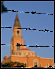 photo "Behind a barbed wire"
