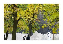 photo "Autumn court yard."