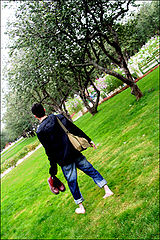 photo "giddiness"