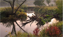 photo "Morning fog near the small river"