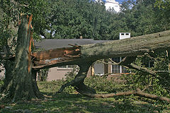 фото "Wrath of katrina"