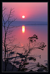 photo "Untitled photo"